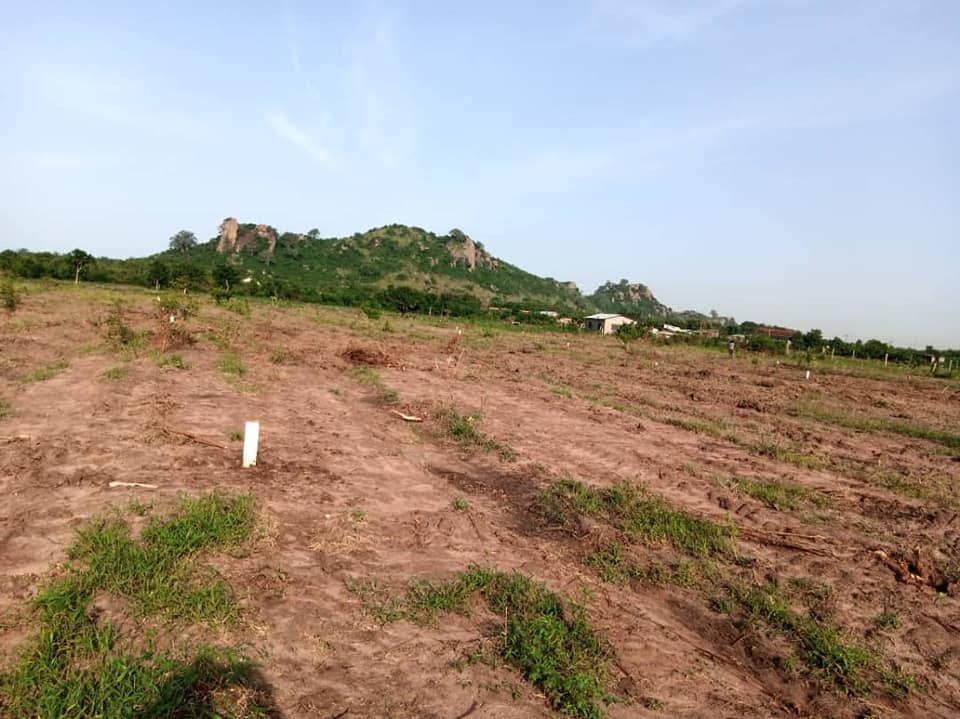 land-1